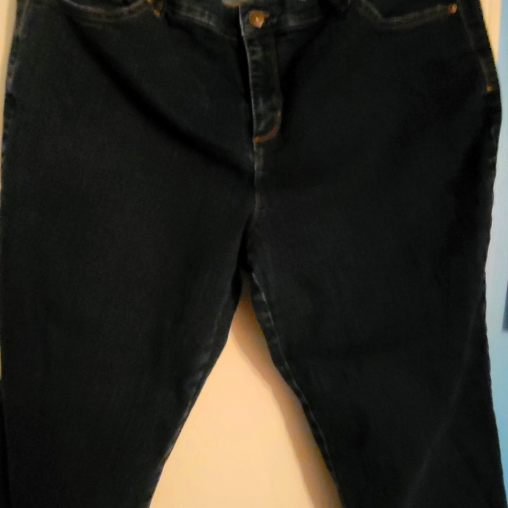Size 16 Caprese pants